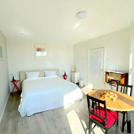 Who's Anton For Or Two, Near Amsterdam Monnickendam